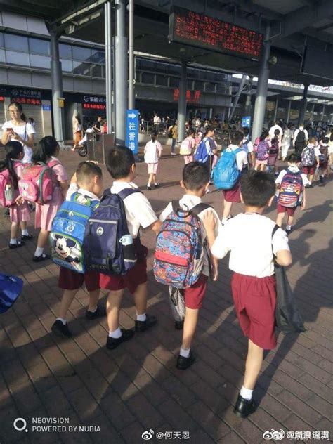 拼尽全力送孩子去香港上学，深港跨境学童的双城生活_腾讯新闻