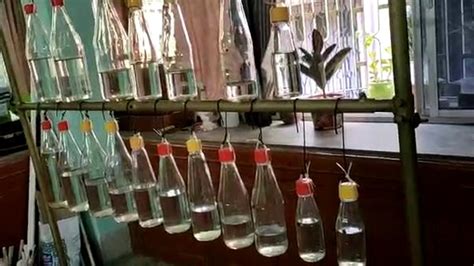 फेंके गए कबाड़ से बनाते हैं बेजोड़ म्यूजिकल इंस्ट्रूमेंट, टेलीविजन ...