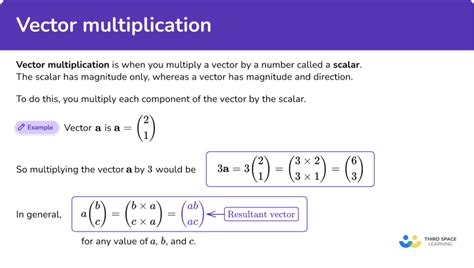 Image result for 3 Vector Multiplication