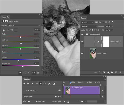 How to Use Adobe Video Editor 的图像结果