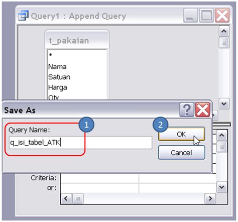 Append Query Access 的图像结果