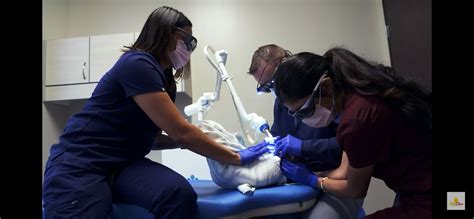 Collaborative Care Case Studies: Infant Feeding, Milk Diva & Dr. Poplin ...