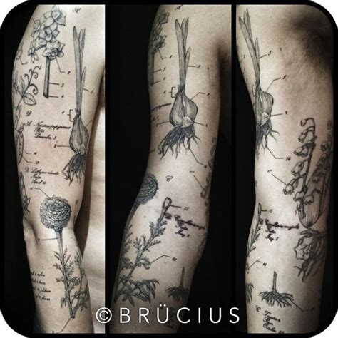 botanical illustration tattoo