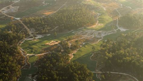 First Reactions to Wild Spring Dunes in Texas