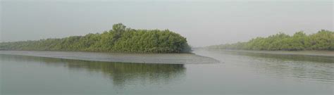 The Ultimate Knowledge about Endocrine Disorder