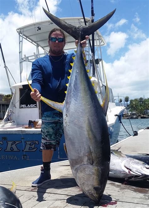 Hawaiian Ahi: The Aloha State's Lesser-Known Tuna Fishery | PELAGIC ...