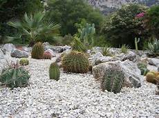giardini piante grasse per esterno granulati da giardino tipi di giardini granulati per giardini piante grasse per esterno granulati da giardino tipi di giardini granulati per