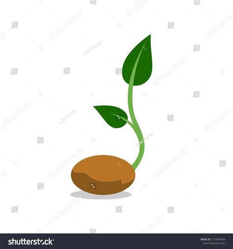Planting A Seed Clip Art