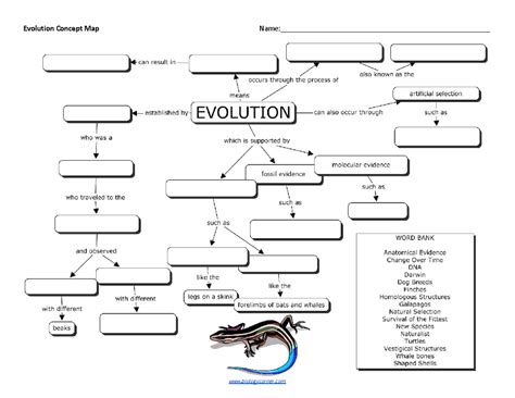 Popular Computer Vision Model Evolution Map 的图像结果