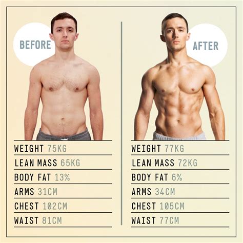 Lean Muscle Body Type