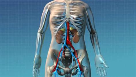 Image result for Robotic Partial Nephrectomy Video Animation