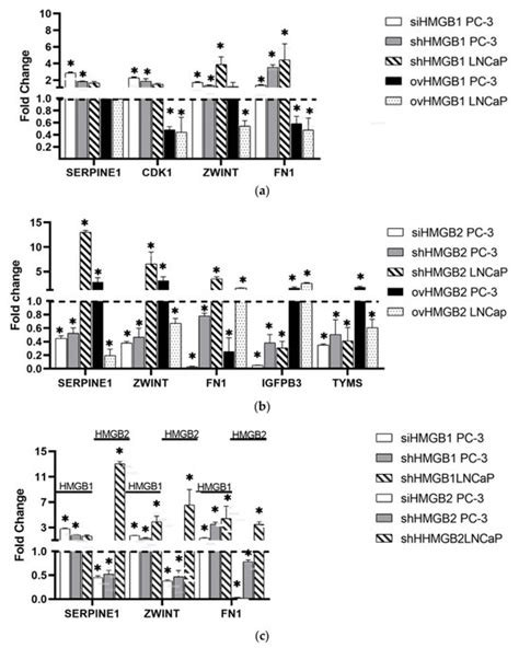 The Effect of HMGB1 and HMGB2 on Transcriptional Regulation Differs in ...