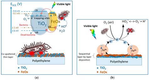 Mechanisms of the Antibacterial Effects of TiO2–FeOx under Solar or ...