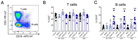 Examination of Novel Immunomodulatory Effects of L-Sulforaphane