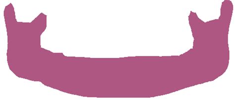 Panoramic Dental X-rays - Dataset Ninja