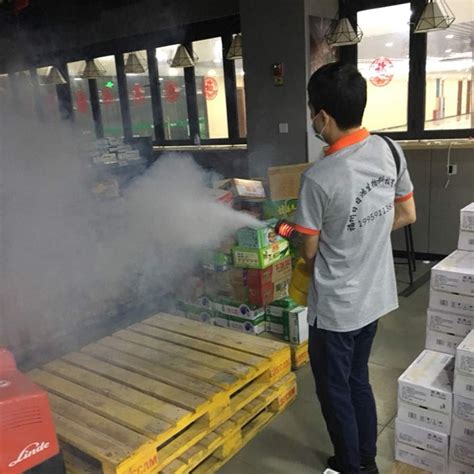 2L Thermal Fogger Fogging Machine Lightweight India | Ubuy