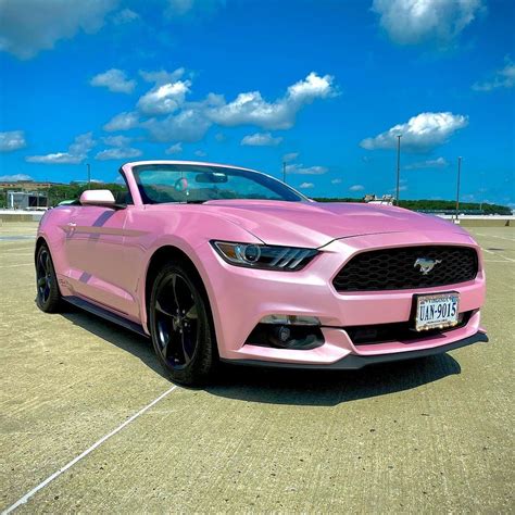 Pink Mustang