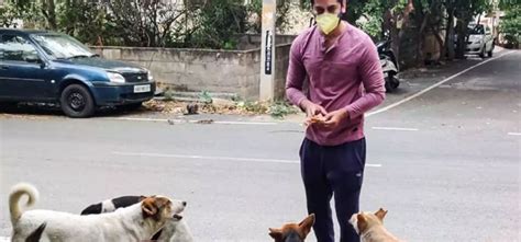 Video Shows Beggar Feeding Dogs From His Plate & People Are Calling It ...