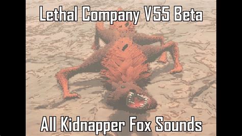 Image result for Bush Wolves