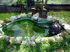 vasche x tartarughe d acqua tartarughe d acqua dolce guida alle specie habitat vasche x tartarughe d acqua tartarughe d acqua dolce guida alle specie habitat