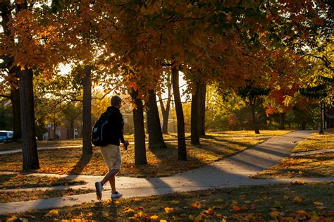Stand Out at the Spring Career Fair – Miami Student life