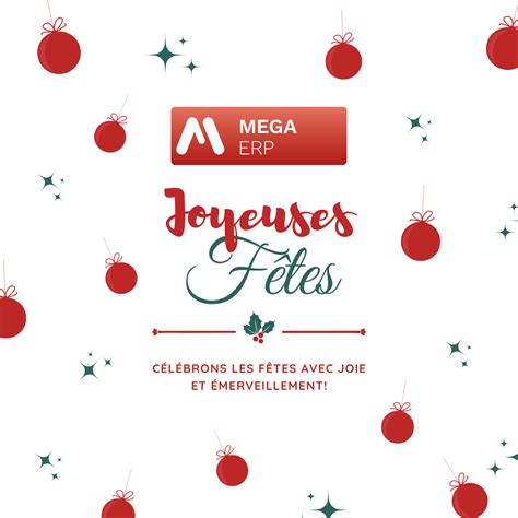 Mega Software Installation 的图像结果