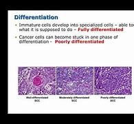 Image result for pathochemistry