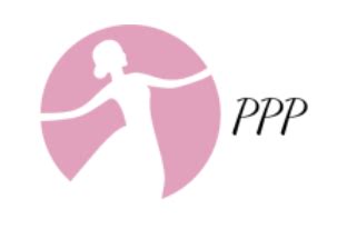 Image result for Princess Protection Program Logo