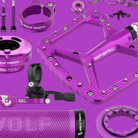 Install a Wolf Tooth Gnar Chain Guide 的图像结果