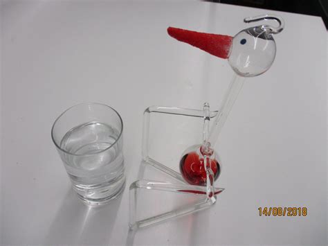 Image result for Bird Exploding Drinking Elcsta Water