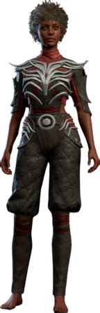 The Graceful Cloth - bg3.wiki