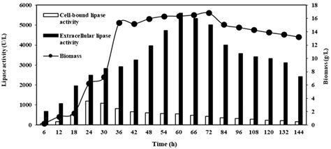 Scale-Up Lipase Production and Development of Methanol Tolerant Whole ...