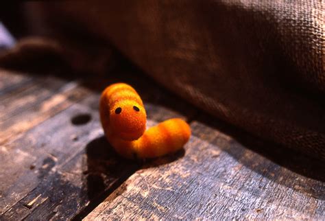 Weekly Muppet Wednesdays: Slimey | The Muppet Mindset