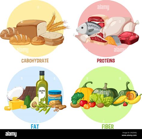 The four food groups illustration Stock Vector Image & Art - Alamy