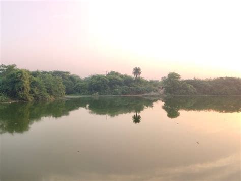 𝗧𝗛𝗘 𝟭𝟬 𝗕𝗘𝗦𝗧 Hotels in Kaithal of 2025 (with Prices)