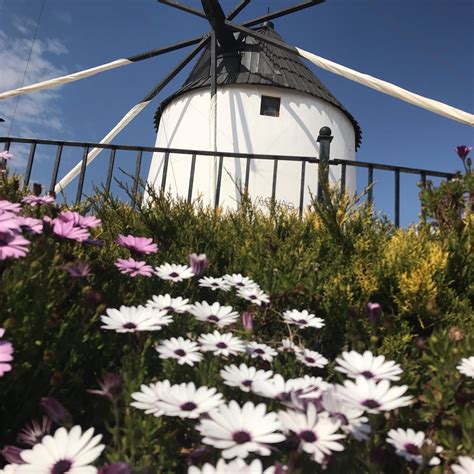 Torre-Pacheco Tourism (2024): All You Need to Know Before You Go