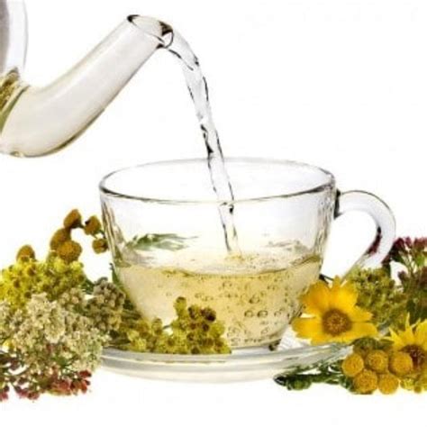 Close share Copy link