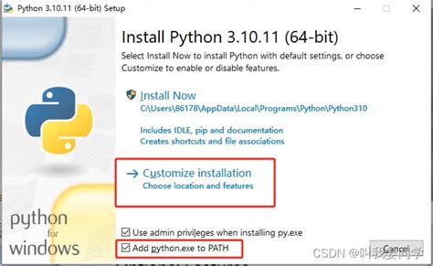 Python 3.10 Setup 的图像结果