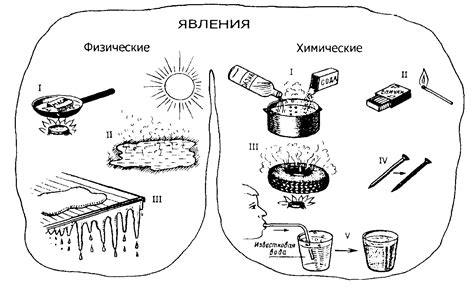 Приведите по 5 примеров физических и химических явлений чем они отличаются