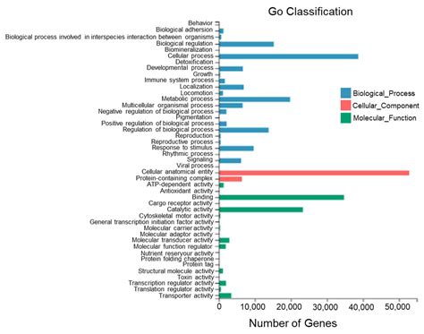 Comparative Transcriptome Analysis of the Skin and the Peritoneal Wall ...