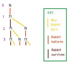 How Fast Do Rabbits Multiply 的图像结果
