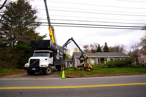 Image result for Commando Tree