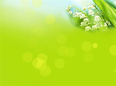 Image result for Spring Products Java