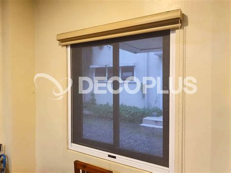 Insect Screen 的图像结果