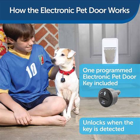 7 Best Electronic Dog Doors You Can Instal For your Dog In 2026