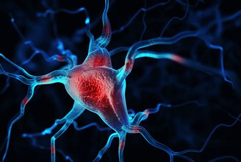 Stress Management | Dallas, TX | Aurora Functional Healthcare