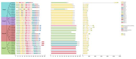 Identification and Expression Analysis of DFR Gene Family in Brassica ...