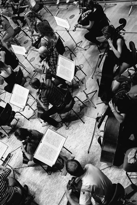 String Section Orchestra 的图像结果