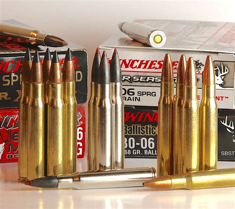 270 Vs 30 06