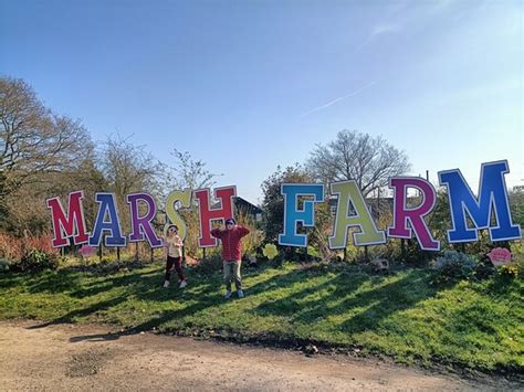 Great Fun Day out with my 4 sons - Reviews, Photos - Marsh Farm Animal ...